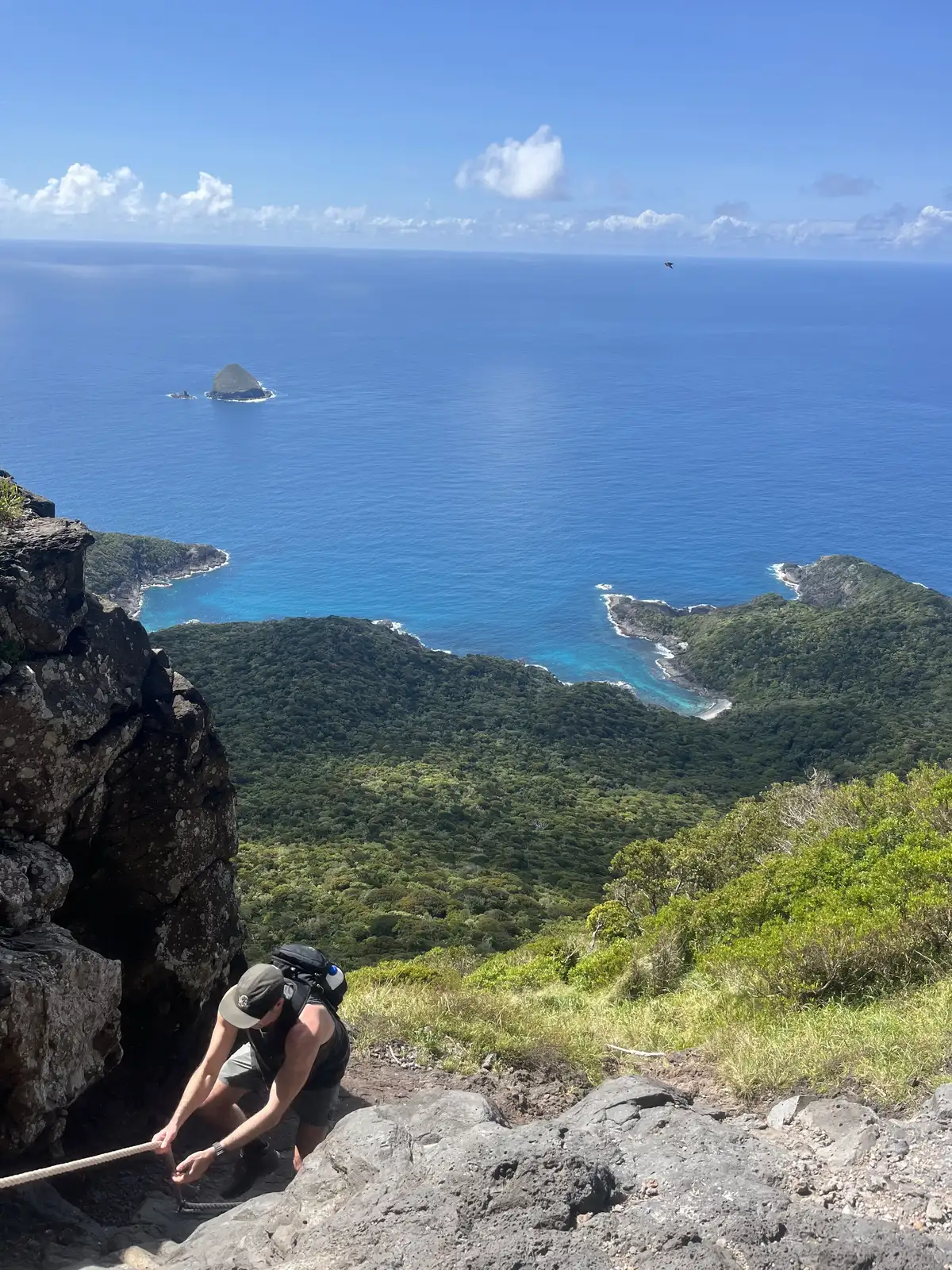 Bird life on Lord Howe Island