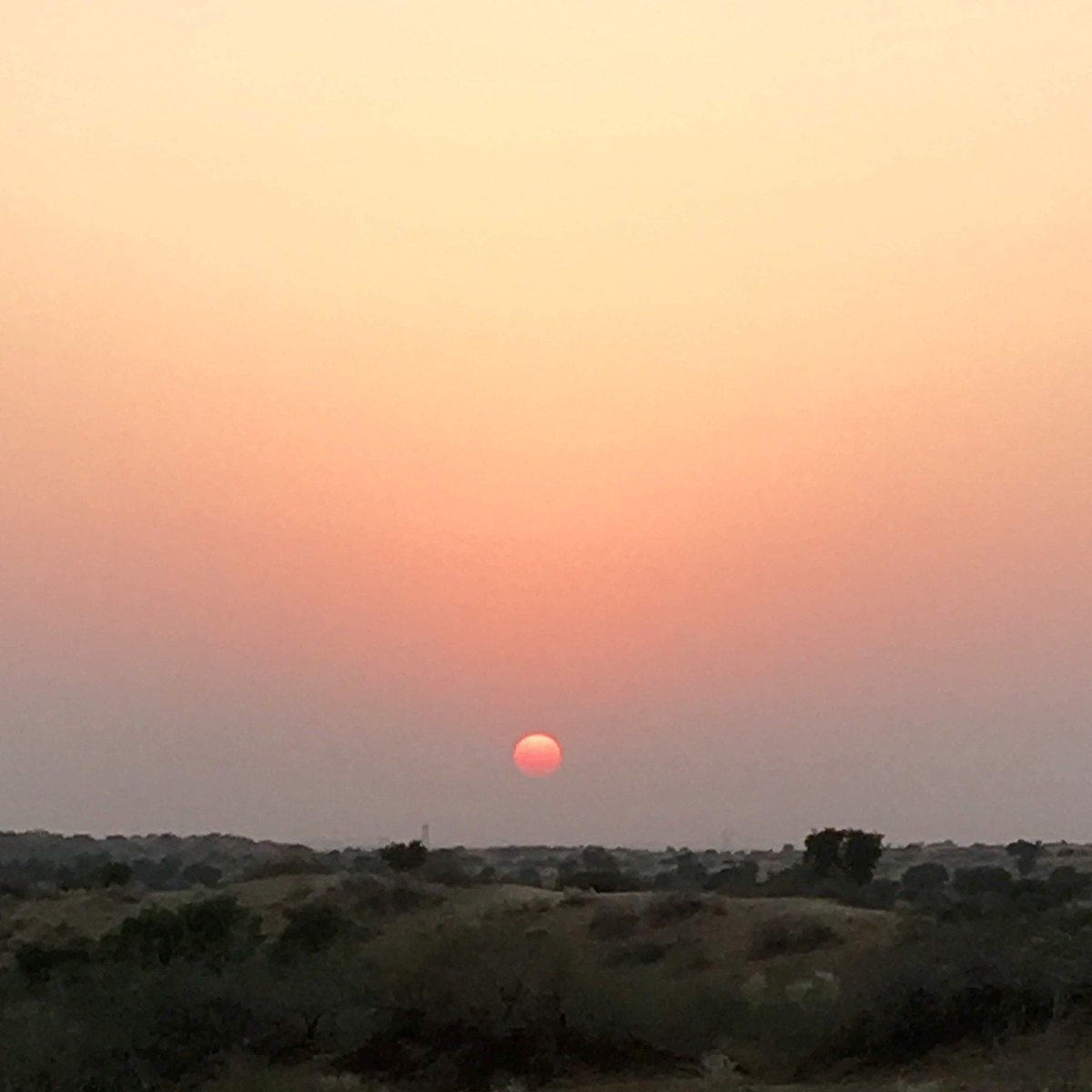 Close view of the sun as a glowing pink orb setting over the Thar Desert scrubland