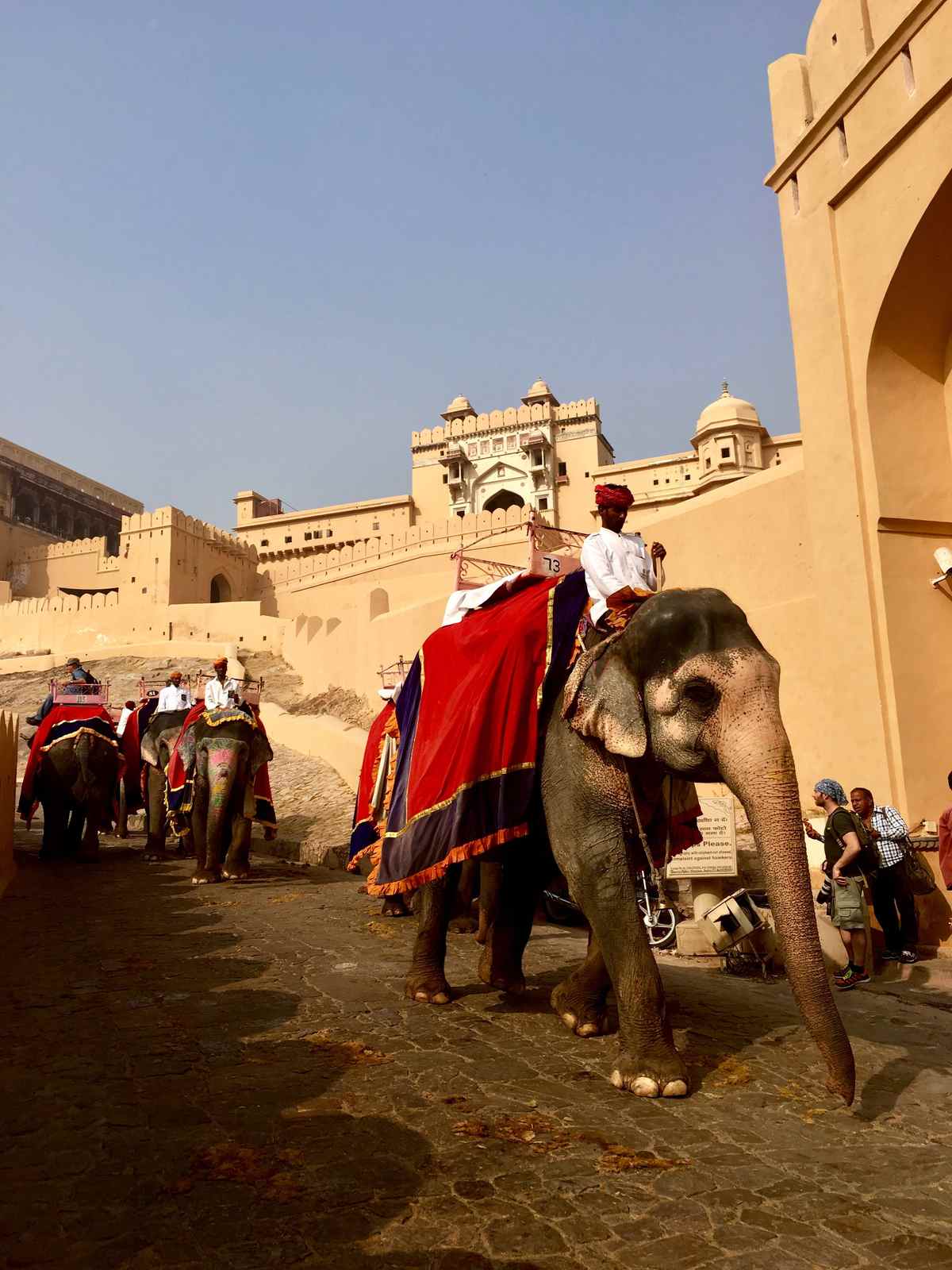 Decorated elephants with mahouts walking up the stone ramp to Amber Fort entrance