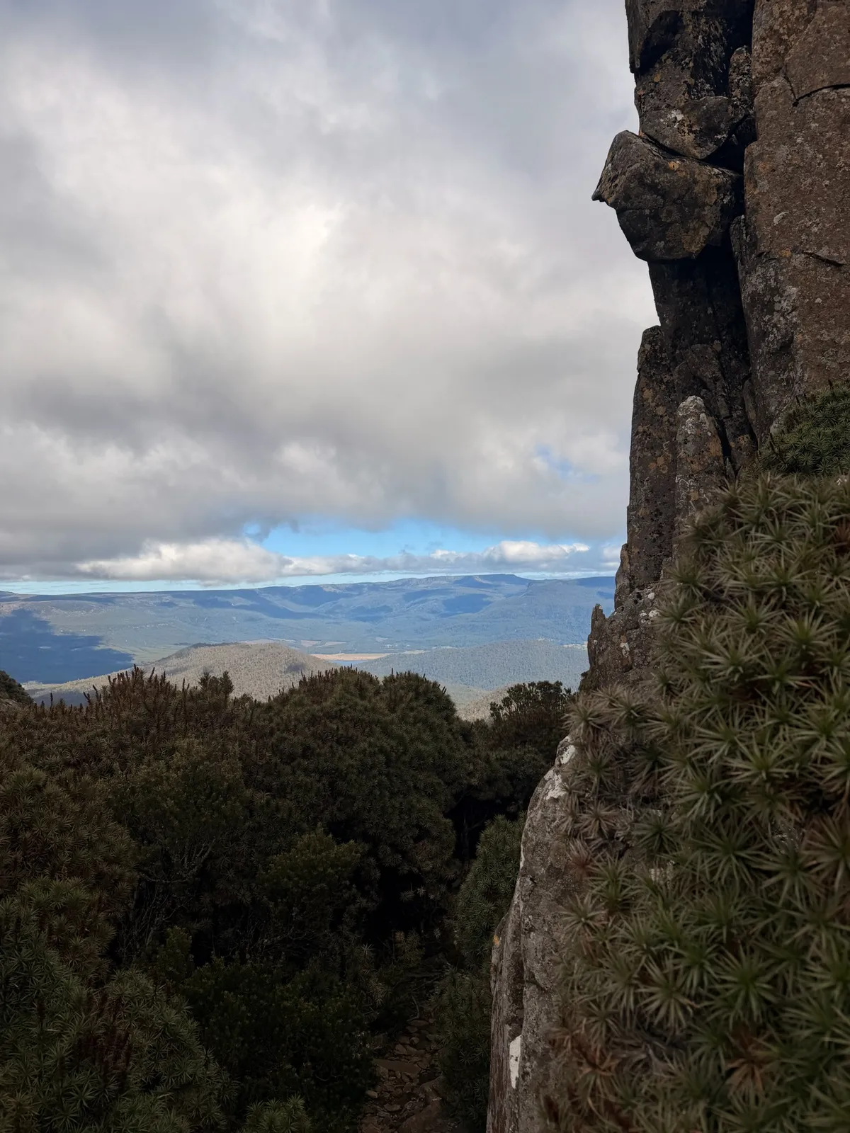 View between tall rock face and cushion plants looking out over forested valley and distant ranges from near the Quamby Bluff summit