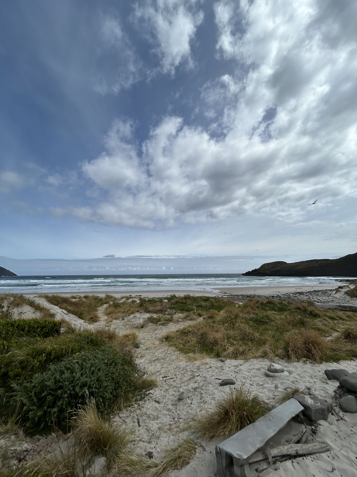 Melaleuca airstrip and surrounding wilderness landscape