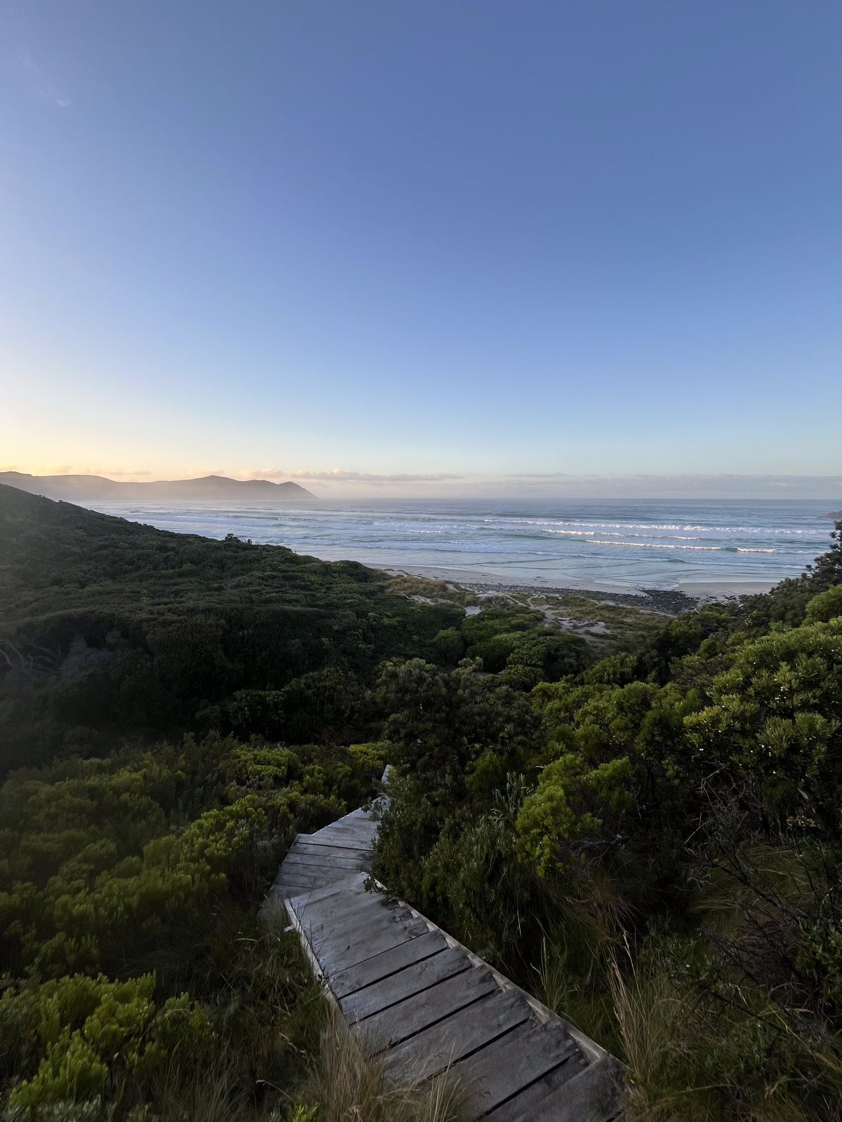Rugged rocky coastline of South Coast Track